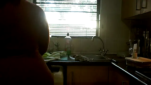 NewBeginnings8 webcam