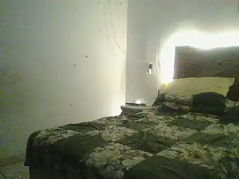 savageee99 webcam