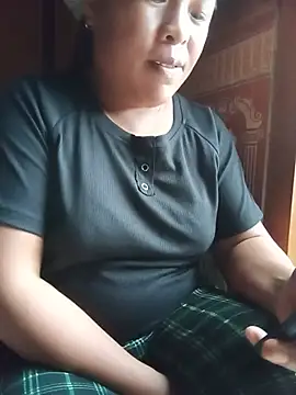 Ip34 webcam