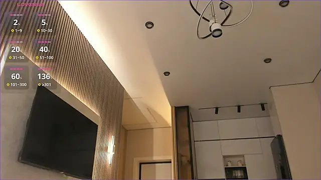 lumimii webcam