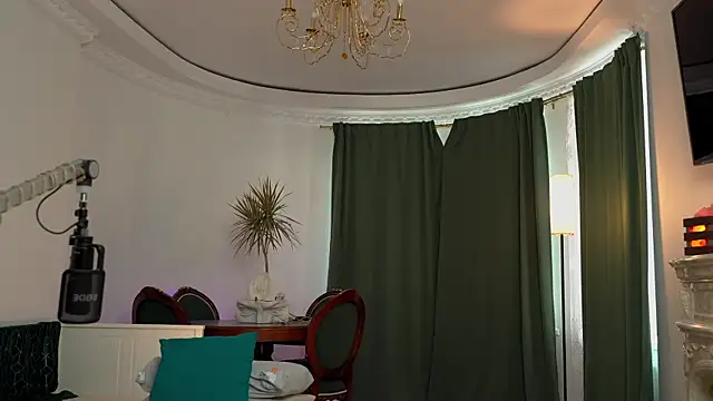 VIktorSecret webcam