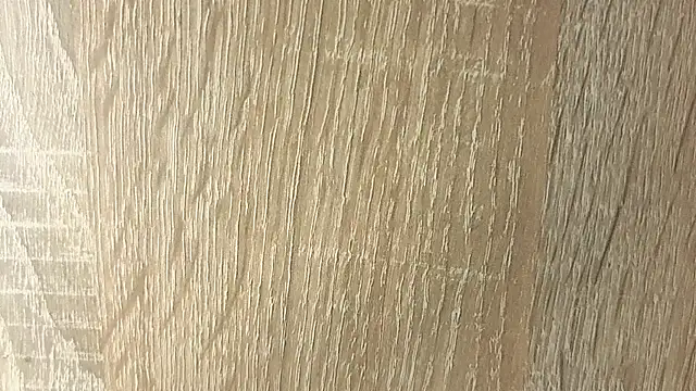 NoFace_Model webcam