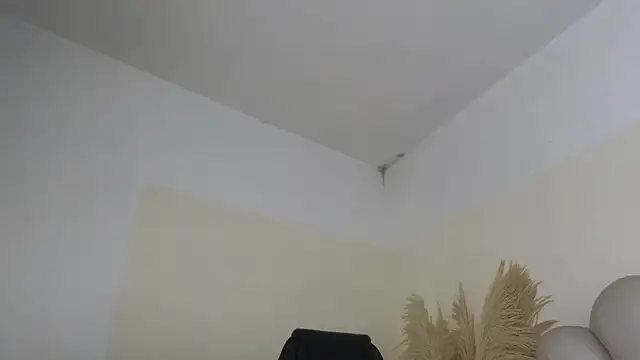 Paulo_527 webcam