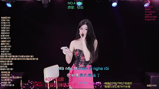 RV-525- webcam