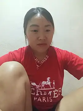 he-se-kin webcam