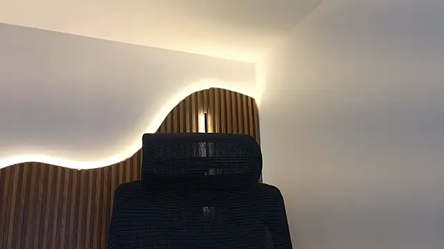 dulcetorresvg webcam