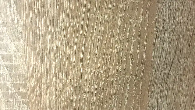NoFace_Model webcam