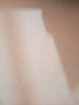 DaisyHarperr webcam