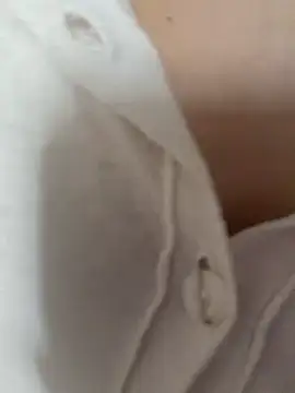 cici-2026 webcam
