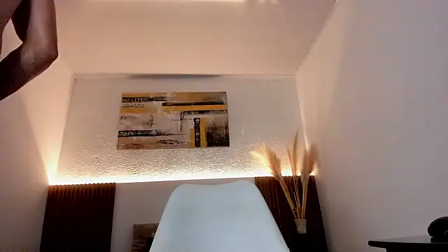 jean_sneider webcam