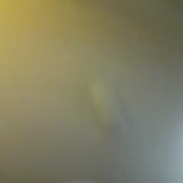 _SpicyStuff_@xh webcam