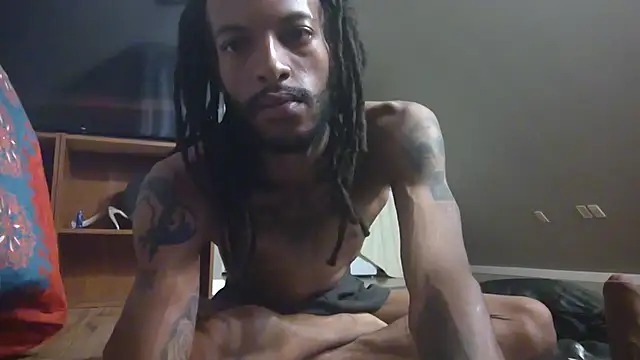 Levitt_Pearse webcam