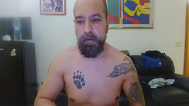 AMIRDIB2025 webcam
