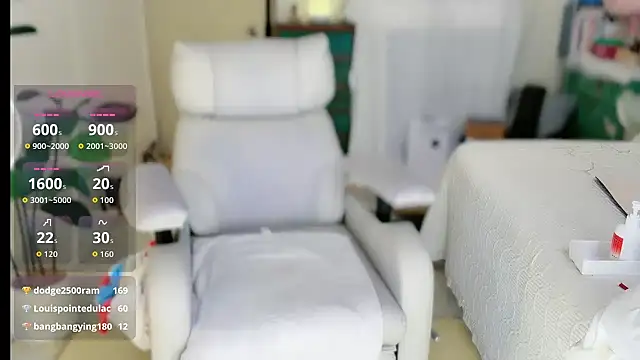 wlj2025-3 webcam