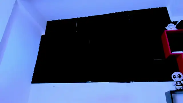 AkaliD webcam
