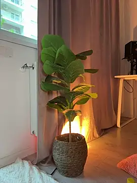 Sandra_Jo