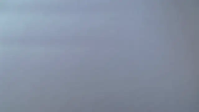 chaneelstark webcam