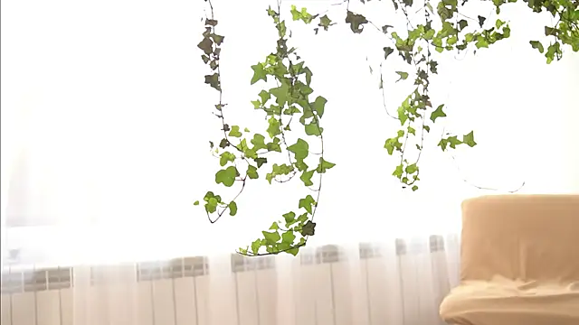 TheMaddisonShow_ webcam