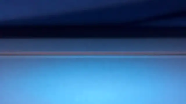 AdonisNarcissus webcam