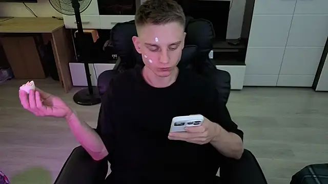 pvlpstvy webcam