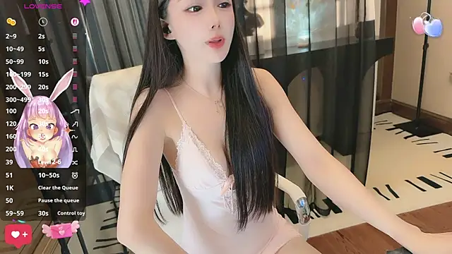 Aisi-20 webcam