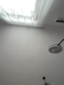 MayaMR webcam