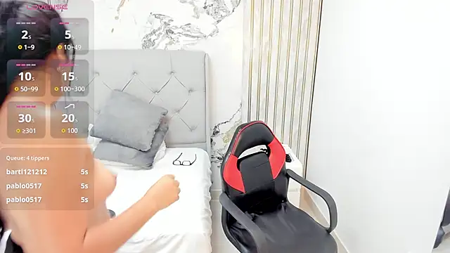 LINASTARK webcam