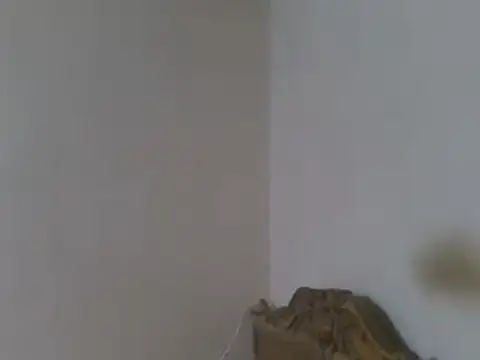 elpoop7305 webcam