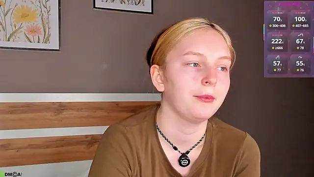 AngelWisee webcam