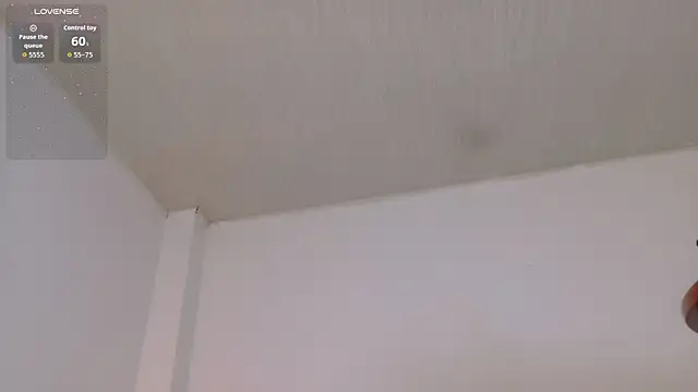 raven_li01 webcam