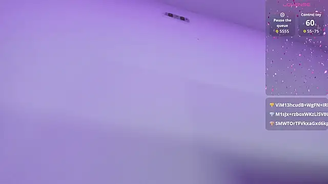 catalina_spec webcam