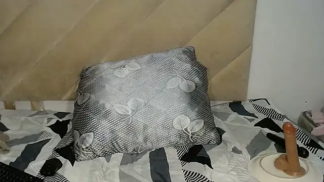 DidyBerry webcam