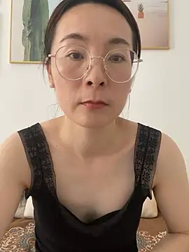 you-520 webcam