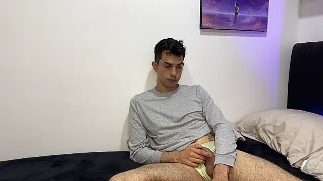 Will-Serfort webcam
