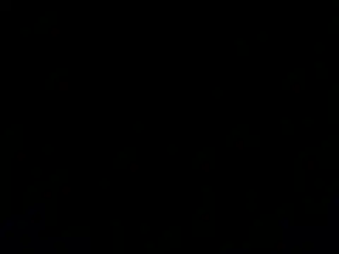 nareethai webcam