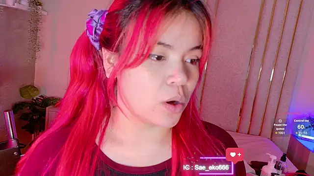 Saekohofman webcam