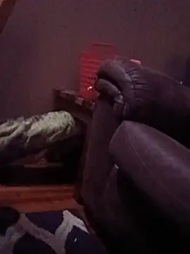 ReallyReallyReal webcam