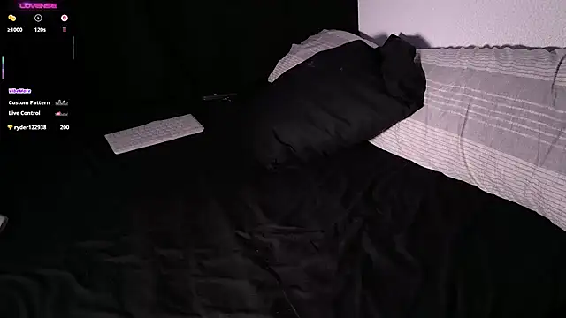 mrj99219 webcam