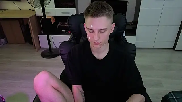 pvlpstvy webcam