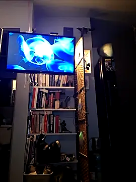 bimexpoexist webcam