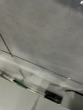 Turkishleo webcam