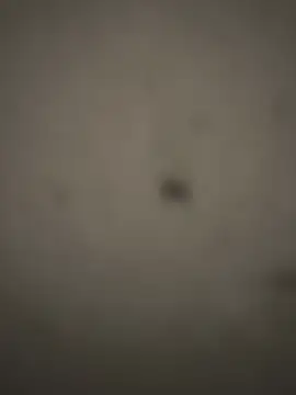 Rasta-Lanka webcam