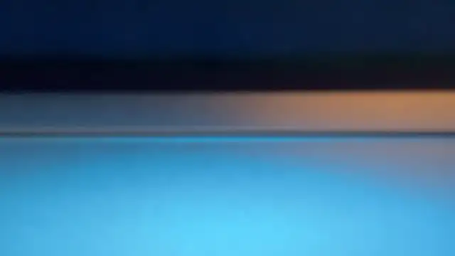 AdonisNarcissus webcam