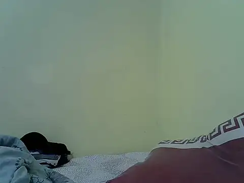 Roselicky webcam