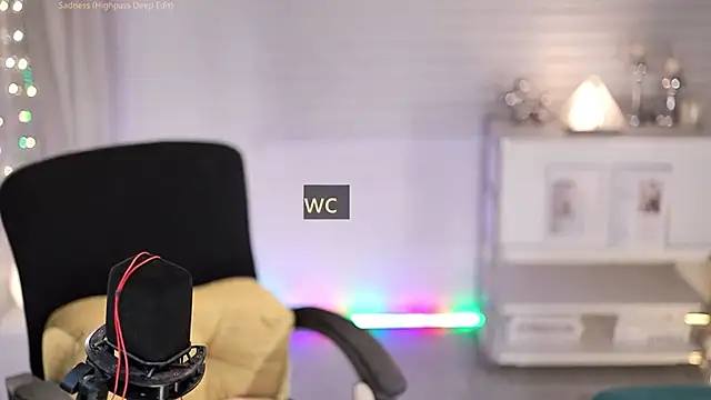 SleepArtist webcam