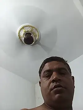 deshilnd webcam