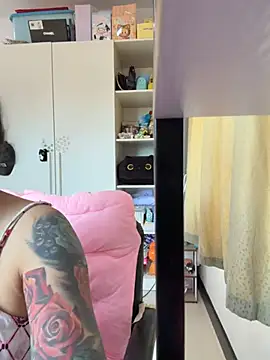 LINDA_HD webcam