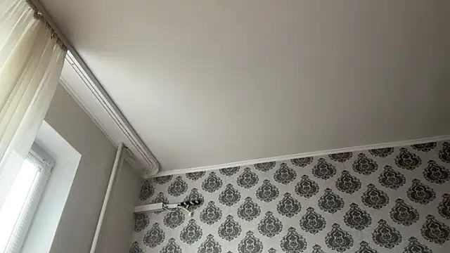 tomasdickpick webcam