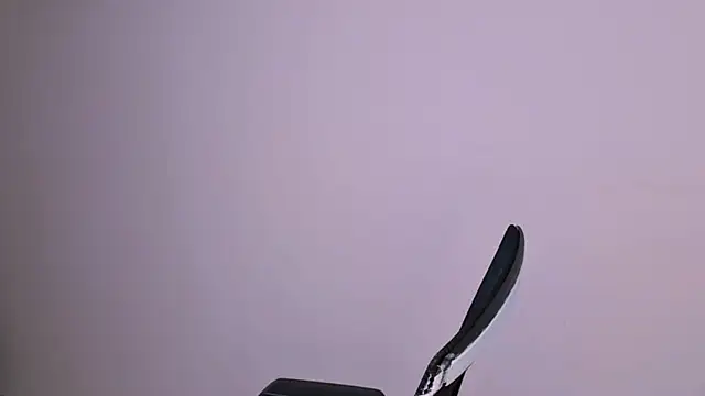 elle_pearl_ (Ask my age) - make my day horny