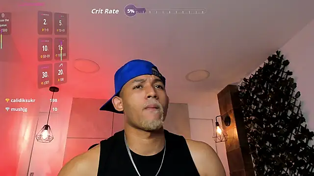 B_Wild webcam